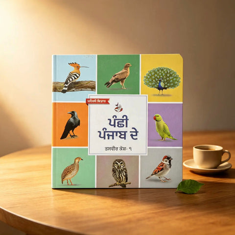 ਪੰਛੀ ਪੰਜਾਬ ਦੇ । Birds Punjab de