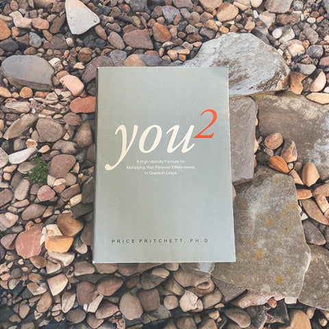 You 2: A High Velocity Formula for Multiplying Your Personal Effectiveness in Quantum Leaps